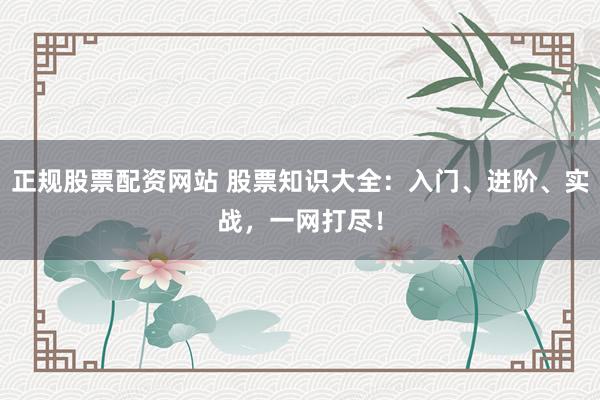 正规股票配资网站 股票知识大全：入门、进阶、实战，一网打尽！