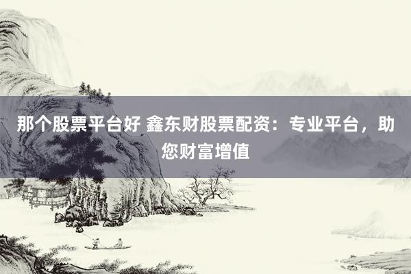 那个股票平台好 鑫东财股票配资：专业平台，助您财富增值