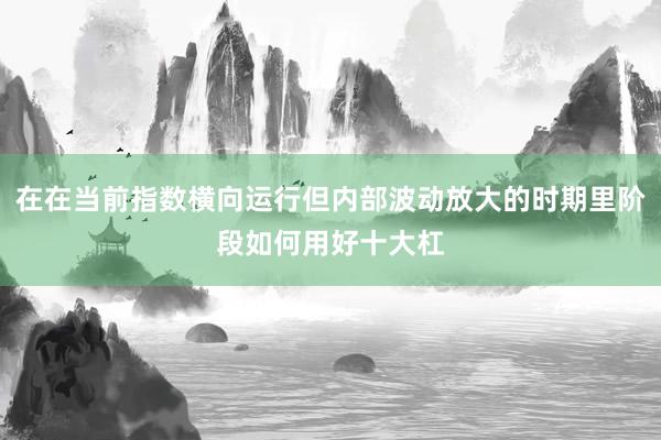 在在当前指数横向运行但内部波动放大的时期里阶段如何用好十大杠