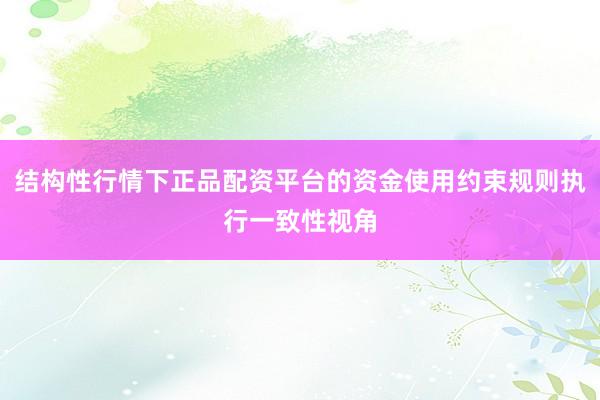 结构性行情下正品配资平台的资金使用约束规则执行一致性视角