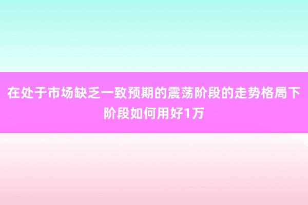 在处于市场缺乏一致预期的震荡阶段的走势格局下阶段如何用好1万