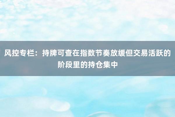 风控专栏:持牌可查在指数节奏放缓但交易活跃的阶段里的持仓集中