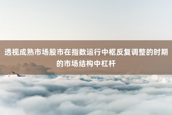 透视成熟市场股市在指数运行中枢反复调整的时期的市场结构中杠杆