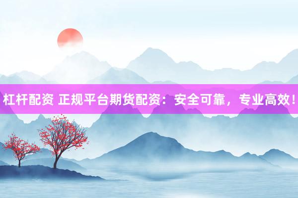 杠杆配资 正规平台期货配资：安全可靠，专业高效！